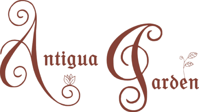 Antigua_Garden_-_Word_Logo-20260824182246-2048x1150-removebg-preview